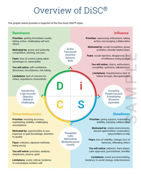 disc-report-2